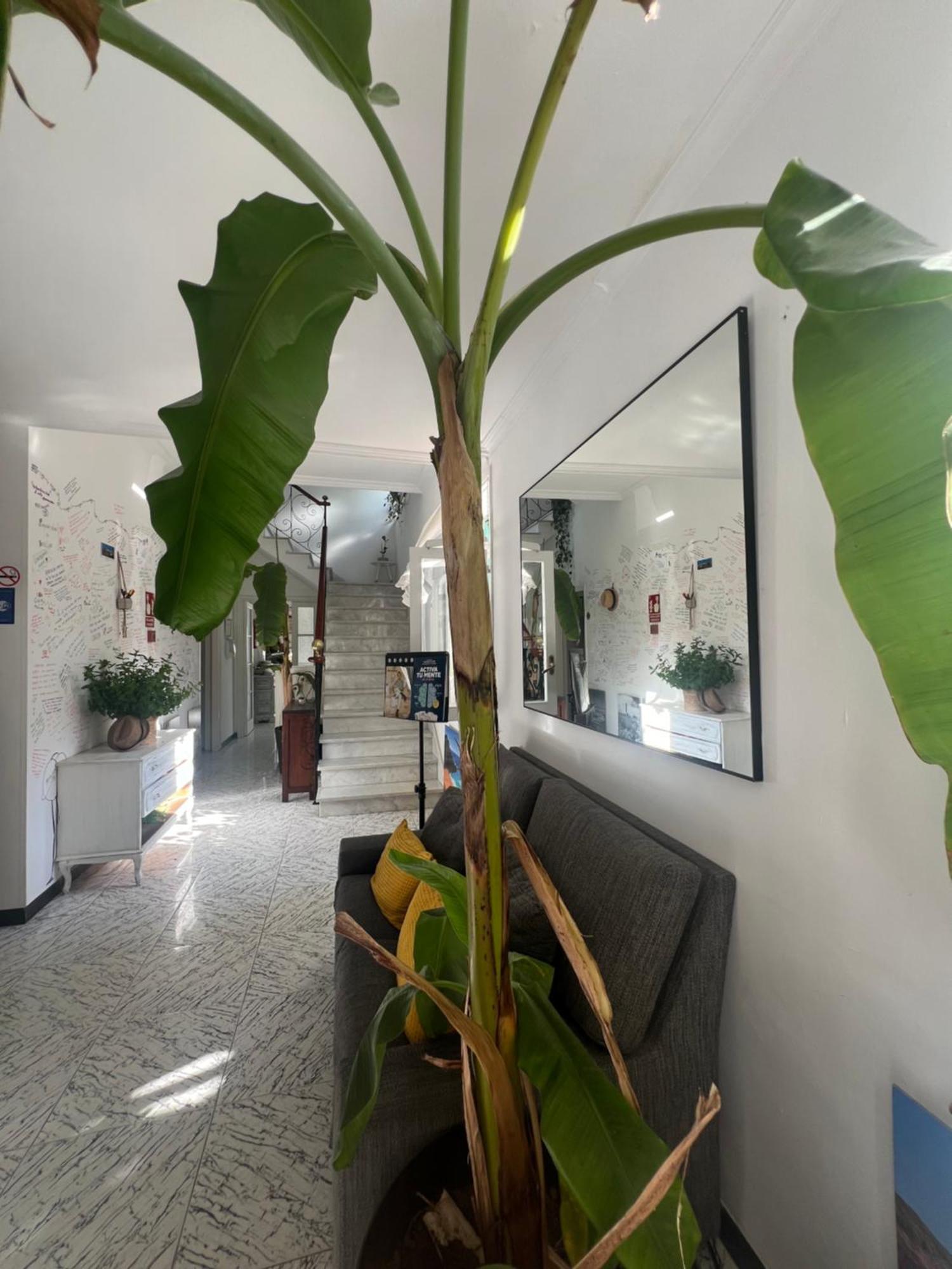 Balear Hotel Ciutadella  Εξωτερικό φωτογραφία